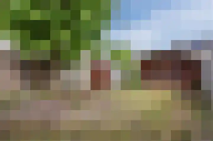 Hermelijnstraat 8 Maarheeze thumbnail 38