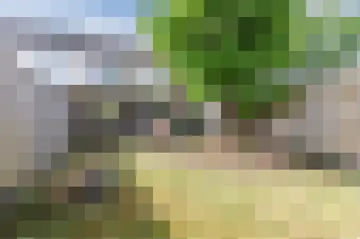 Hermelijnstraat 8 Maarheeze thumbnail 40