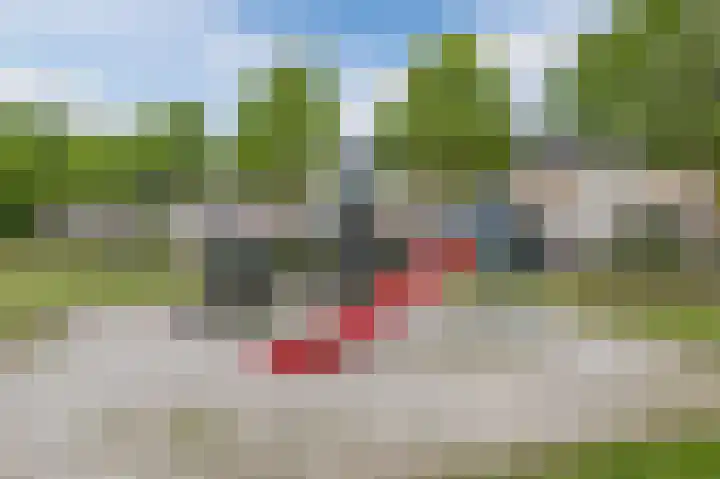 Hermelijnstraat 8 Maarheeze thumbnail 42