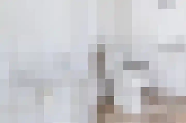 Hermelijnstraat 8 Maarheeze thumbnail 9