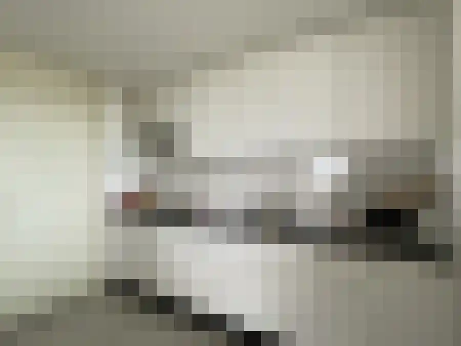 Hermelijnvlinder 107 Diemen thumbnail 6