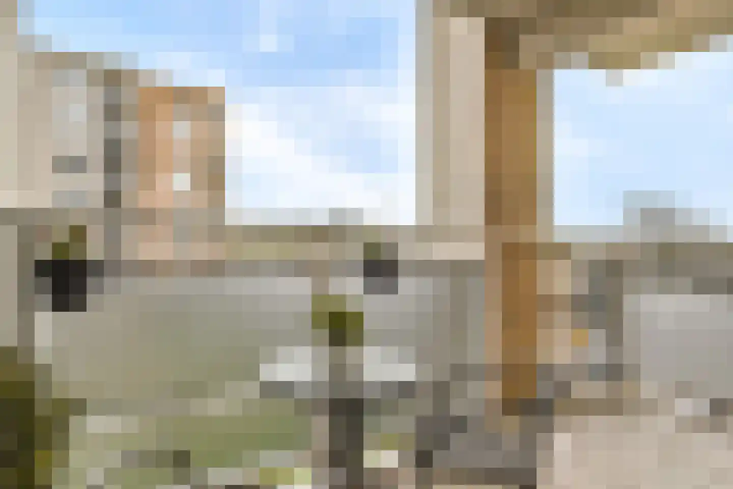 Hermelijnvlinder 127 Diemen thumbnail 12