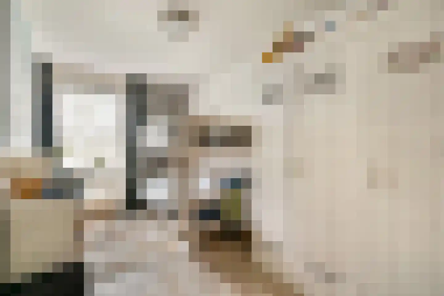 Hermelijnvlinder 127 Diemen thumbnail 14