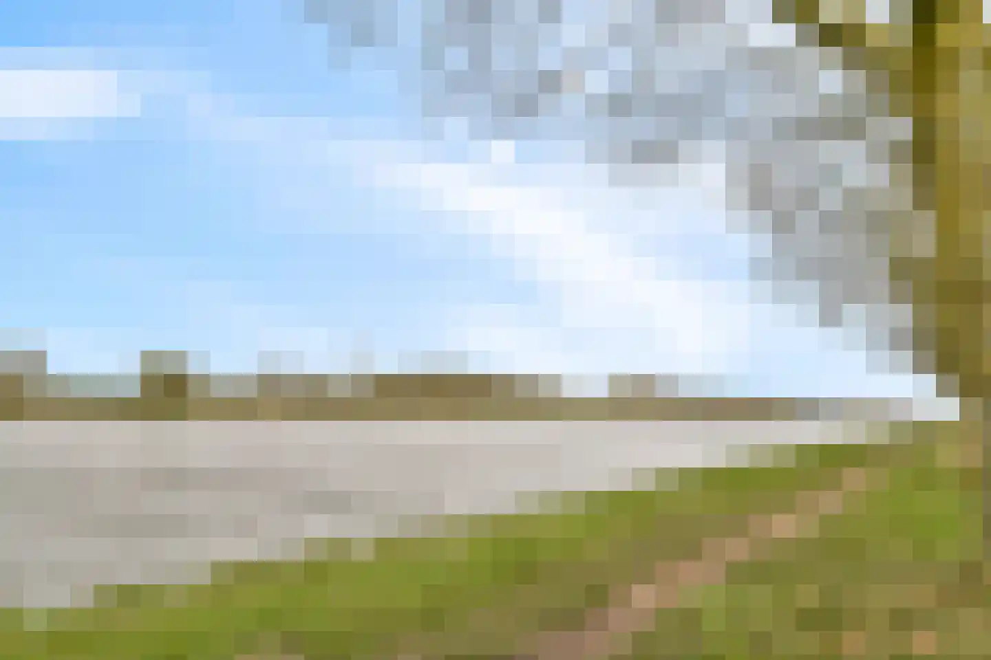 Hermelijnvlinder 127 Diemen thumbnail 18