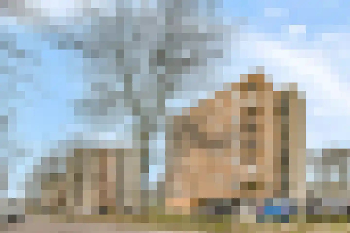 Hermelijnvlinder 127 Diemen thumbnail 19