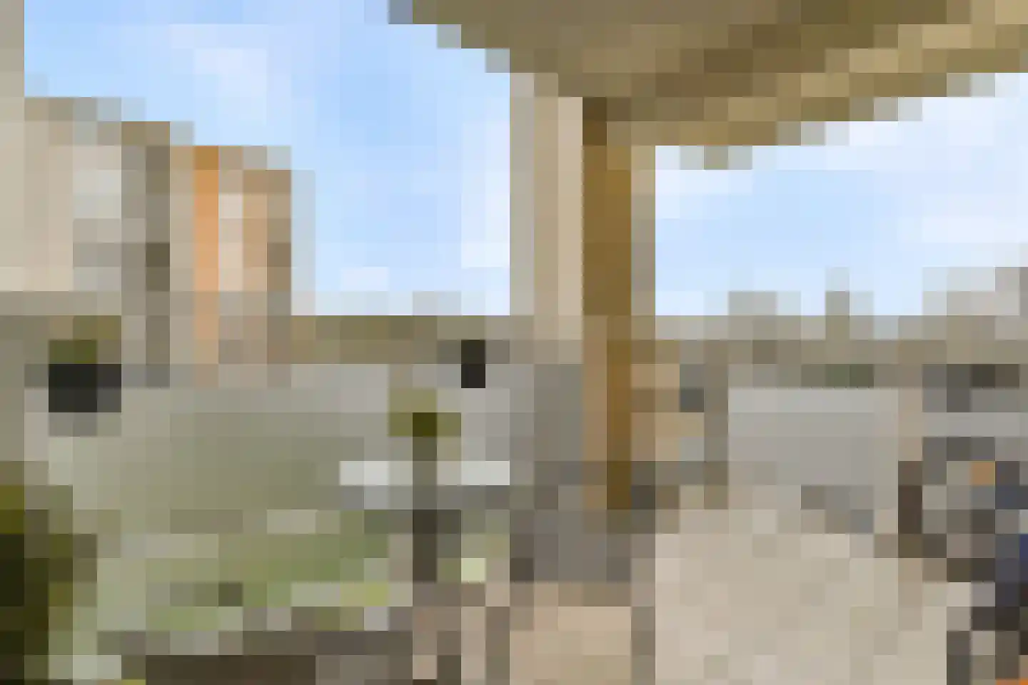Hermelijnvlinder 127 Diemen thumbnail 4