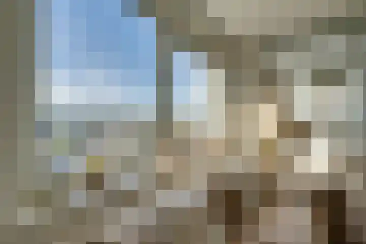 Hermelijnvlinder 147 Diemen thumbnail 14