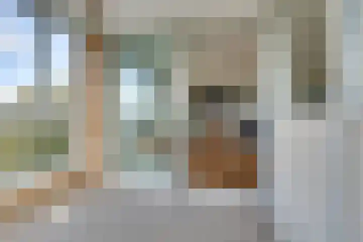 Hermelijnvlinder 147 Diemen thumbnail 26