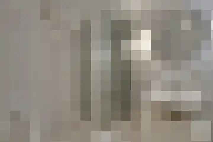 Hermelijnvlinder 147 Diemen thumbnail 35