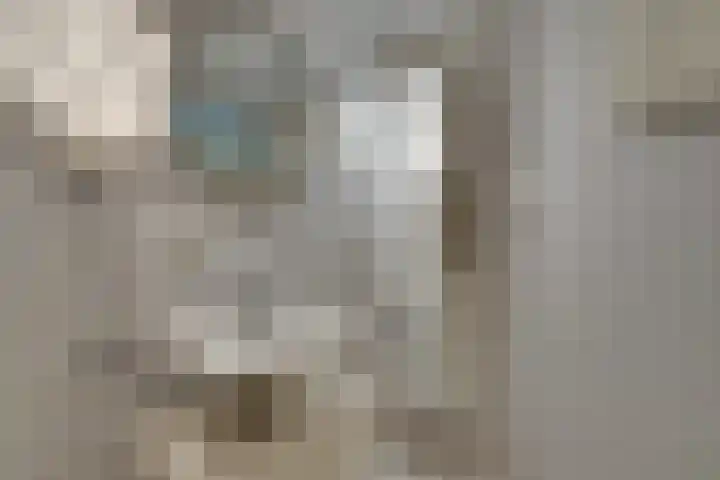 Hermelijnvlinder 147 Diemen thumbnail 37