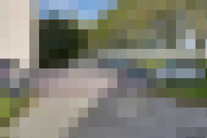 Hermelijnvlinder 147 Diemen thumbnail 45