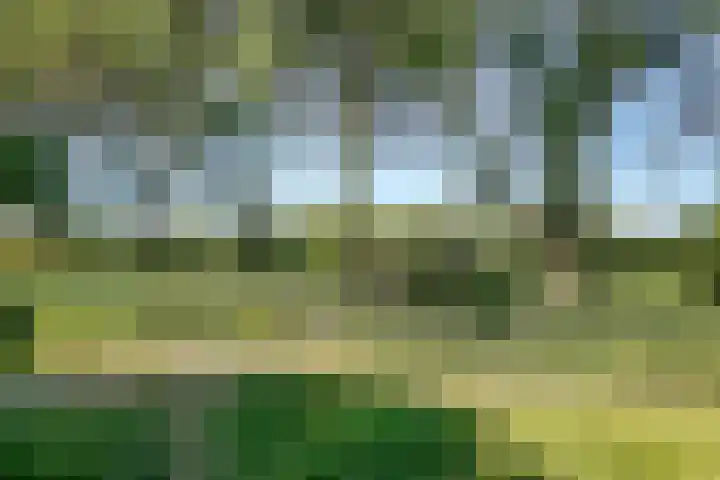 Hermelijnvlinder 147 Diemen thumbnail 46