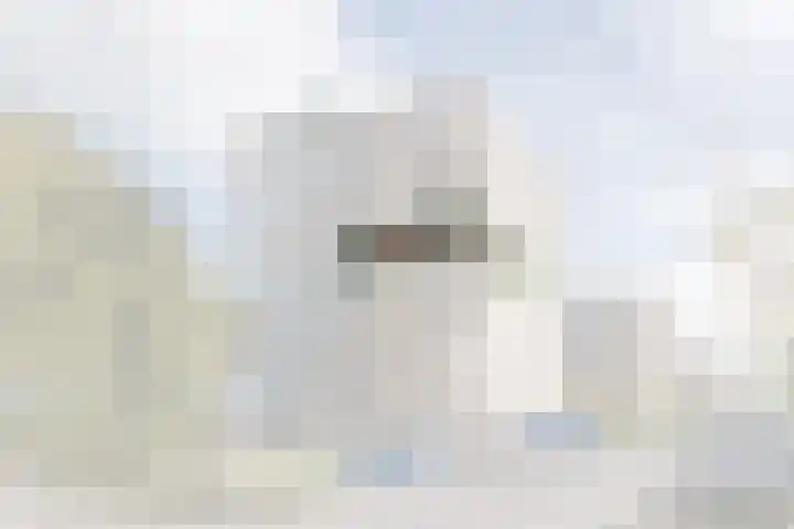 Hermelijnvlinder 147 Diemen thumbnail 5