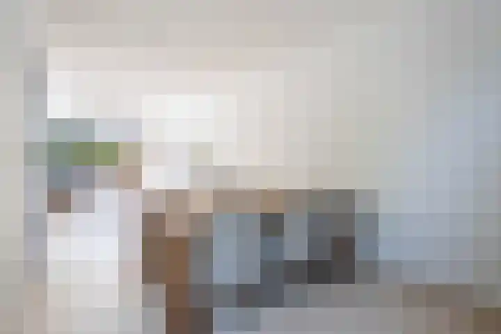 Hermelijnvlinder 15 Oosterhout thumbnail 10