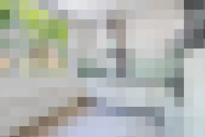 Hermelijnvlinder 15 Oosterhout thumbnail 13