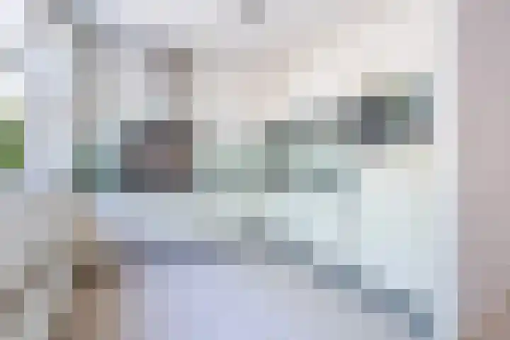 Hermelijnvlinder 15 Oosterhout thumbnail 14