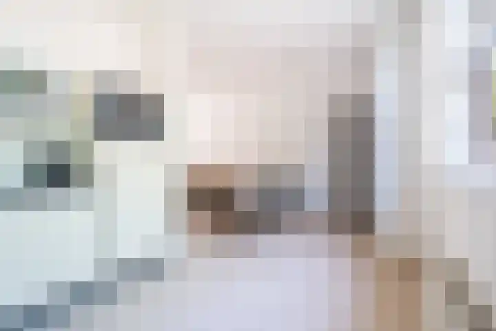 Hermelijnvlinder 15 Oosterhout thumbnail 15