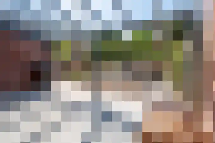 Hermelijnvlinder 15 Oosterhout thumbnail 16