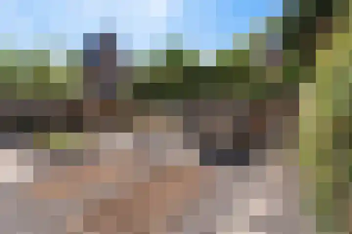 Hermelijnvlinder 15 Oosterhout thumbnail 17