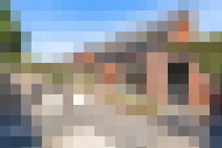 Hermelijnvlinder 15 Oosterhout thumbnail 18