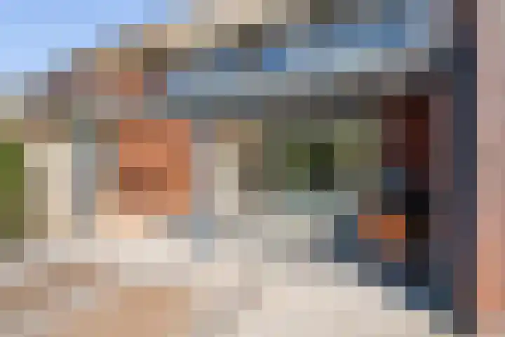Hermelijnvlinder 15 Oosterhout thumbnail 19