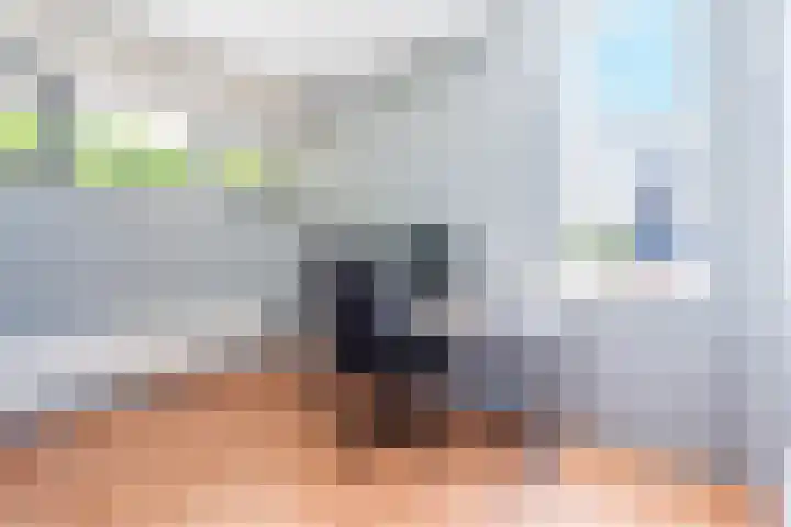 Hermelijnvlinder 15 Oosterhout thumbnail 25
