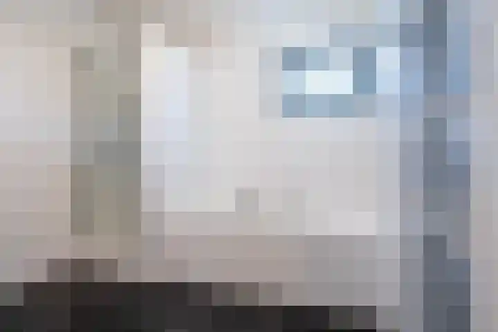 Hermelijnvlinder 15 Oosterhout thumbnail 27