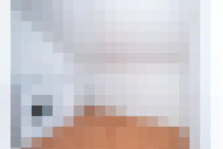 Hermelijnvlinder 15 Oosterhout thumbnail 31