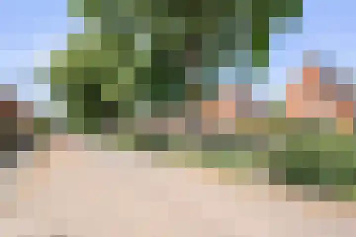 Hermelijnvlinder 15 Oosterhout thumbnail 34