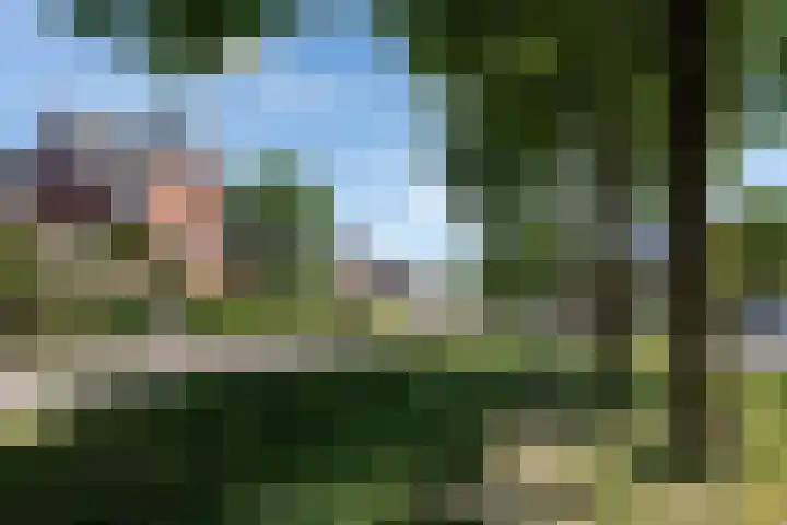 Hermelijnvlinder 15 Oosterhout thumbnail 35