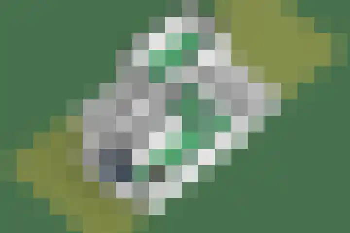 Hermelijnvlinder 15 Oosterhout thumbnail 37
