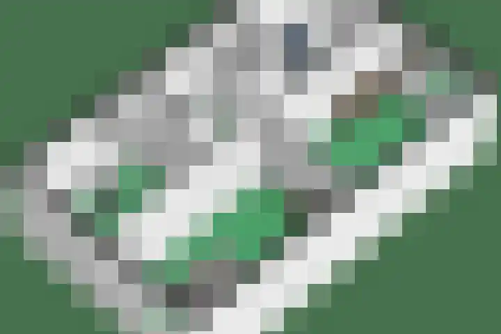 Hermelijnvlinder 15 Oosterhout thumbnail 41