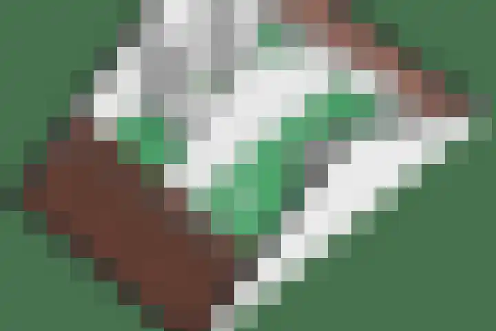 Hermelijnvlinder 15 Oosterhout thumbnail 43