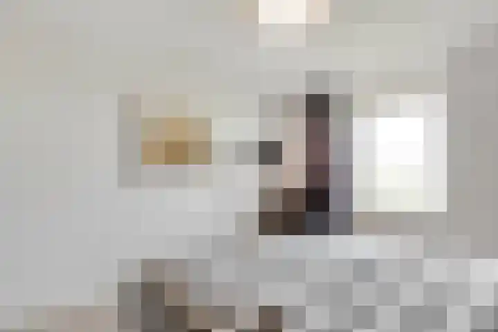 Hermelijnvlinder 165 Diemen thumbnail 16