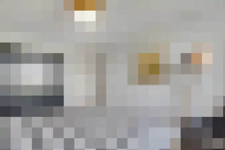 Hermelijnvlinder 165 Diemen thumbnail 17