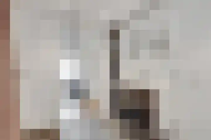 Hermelijnvlinder 165 Diemen thumbnail 19