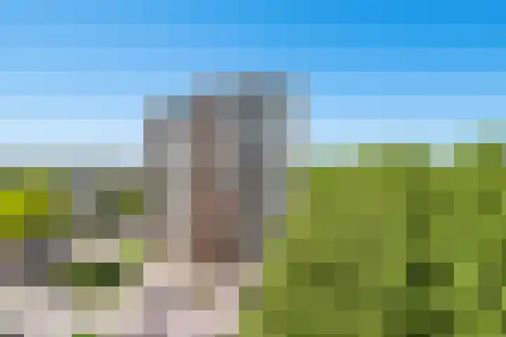 Hermelijnvlinder 165 Diemen thumbnail 25