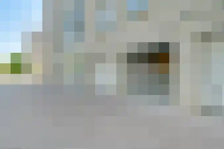 Hermelijnvlinder 165 Diemen thumbnail 28