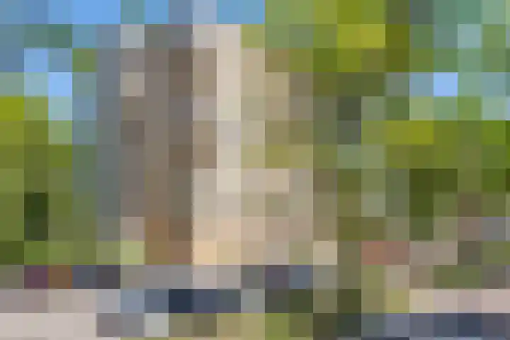 Hermelijnvlinder 165 Diemen thumbnail 29