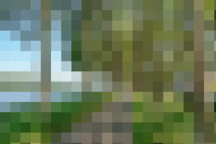 Hermelijnvlinder 165 Diemen thumbnail 31