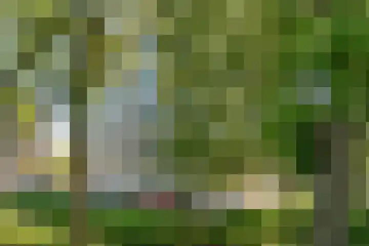Hermelijnvlinder 165 Diemen thumbnail 32