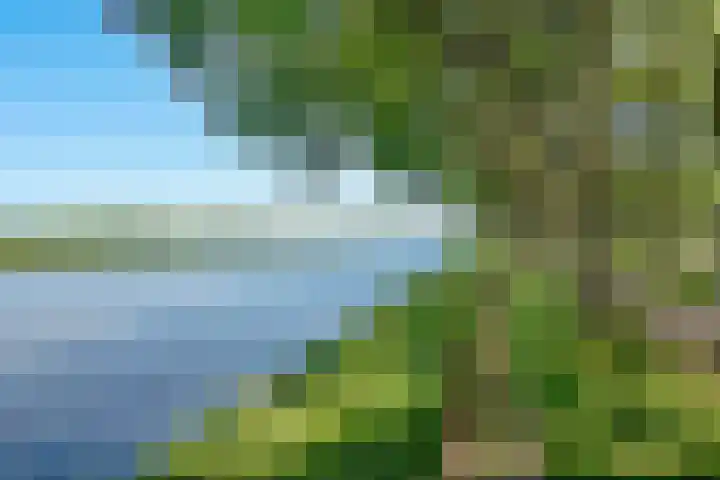 Hermelijnvlinder 165 Diemen thumbnail 33