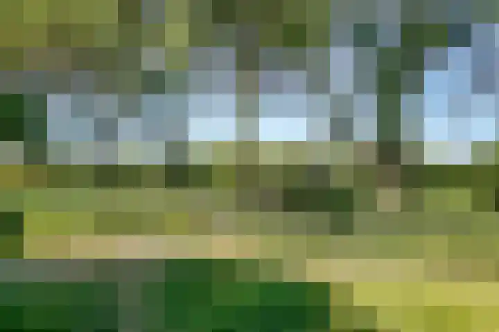 Hermelijnvlinder 165 Diemen thumbnail 34