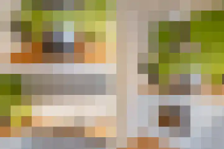 Hermelijnvlinder 179 Diemen thumbnail 17