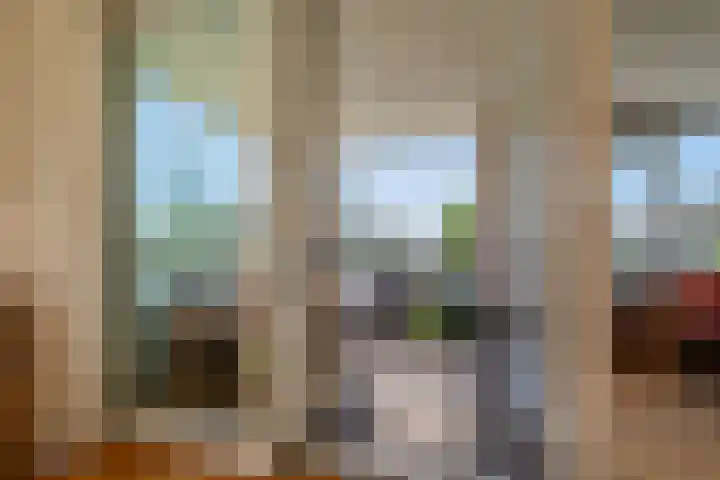 Hermelijnvlinder 179 Diemen thumbnail 18