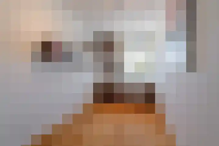Hermelijnvlinder 179 Diemen thumbnail 25
