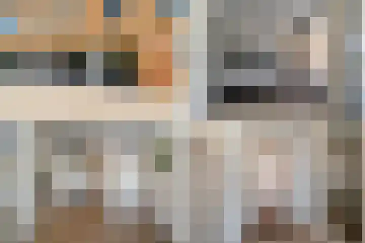 Hermelijnvlinder 179 Diemen thumbnail 31