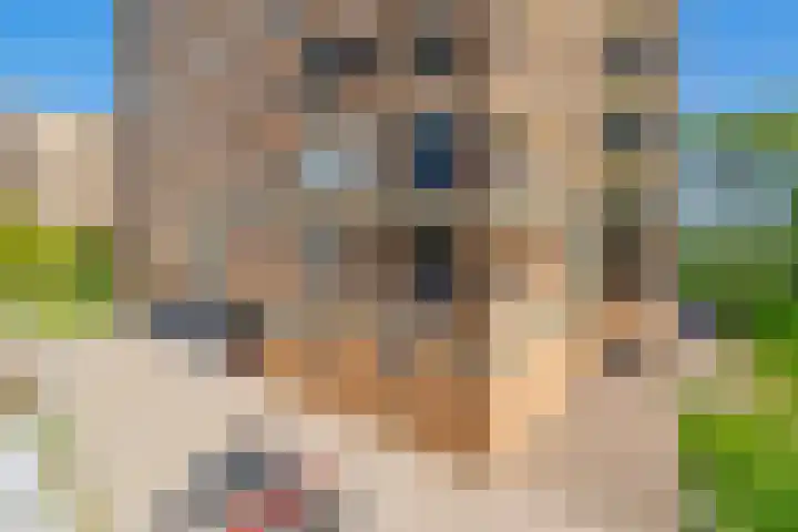 Hermelijnvlinder 179 Diemen thumbnail 35