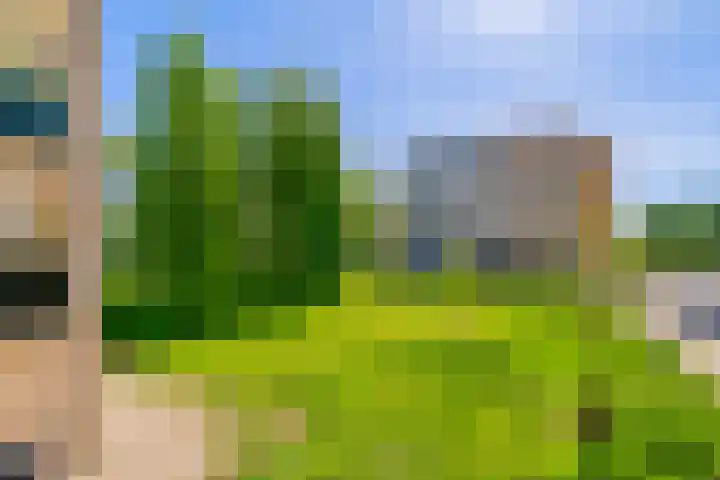 Hermelijnvlinder 179 Diemen thumbnail 36