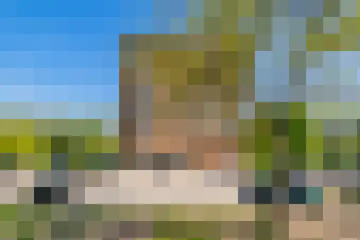 Hermelijnvlinder 179 Diemen thumbnail 37
